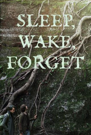 Sleep, Wake, Forget poster