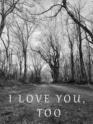 I Love You, Too poster