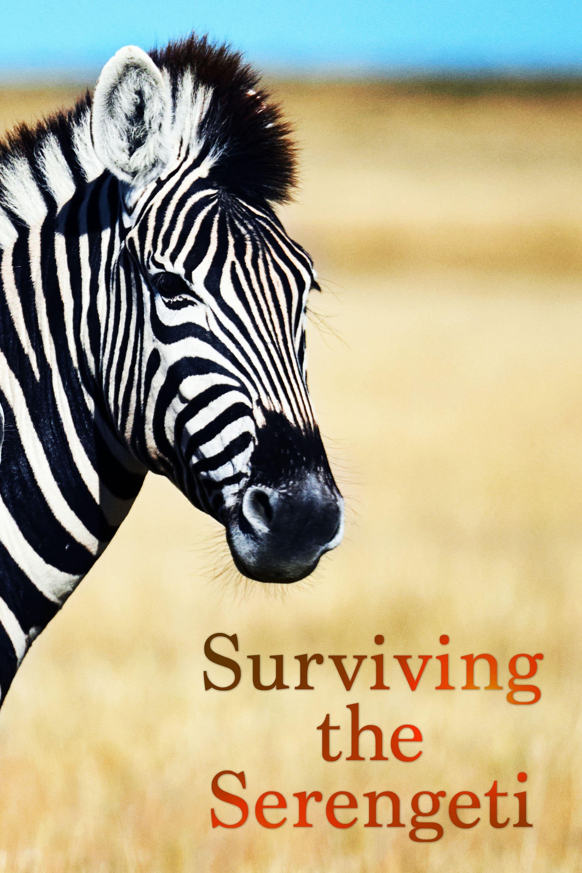 Surviving the Serengeti poster