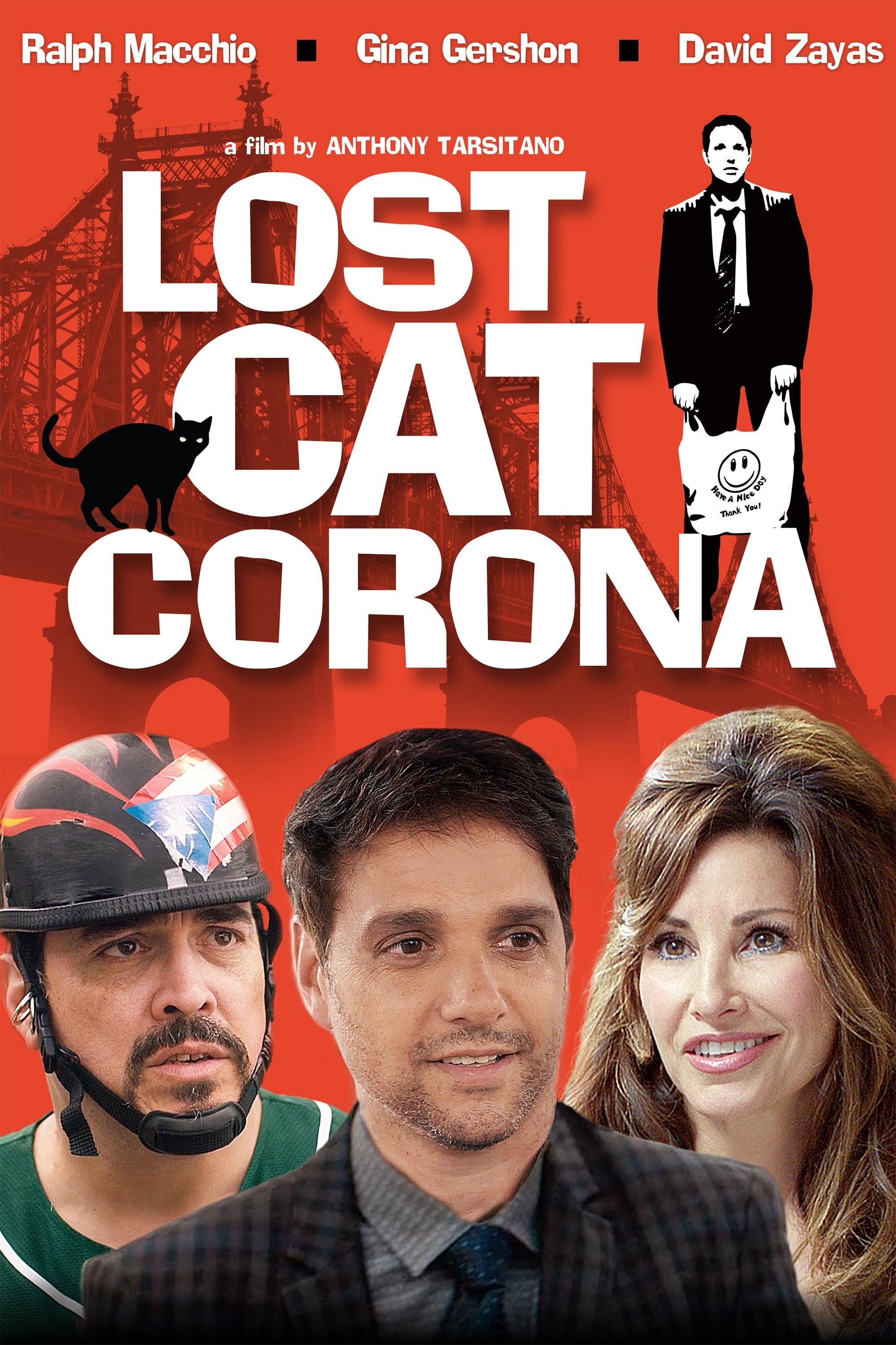 Lost Cat Corona poster