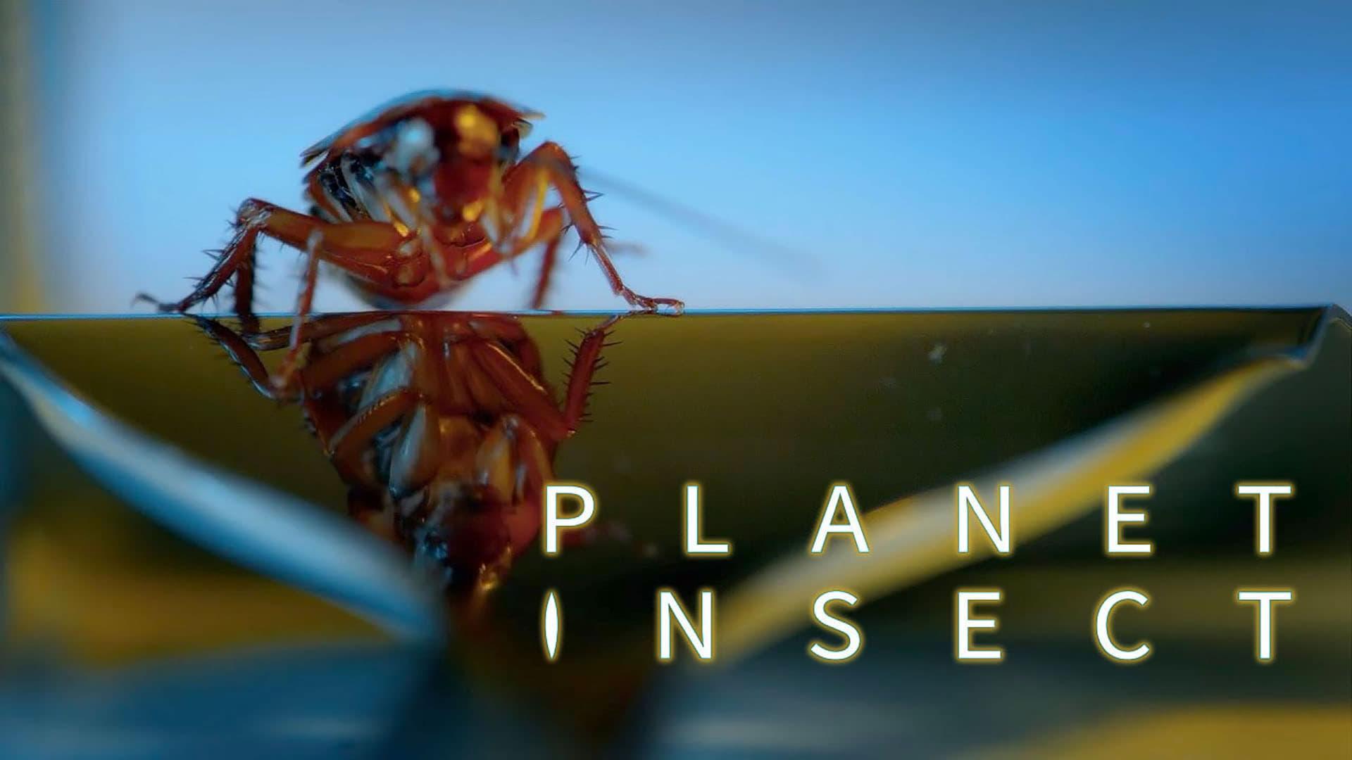 Planet Insect backdrop