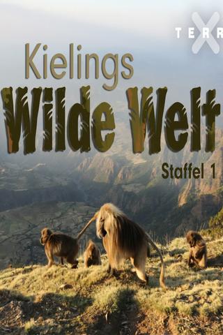 Kielings wilde Welt poster