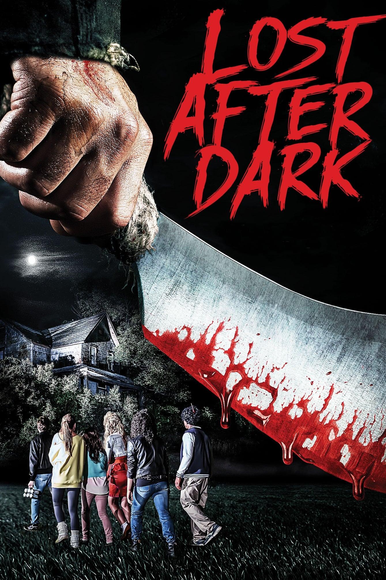 Lost After Dark poster