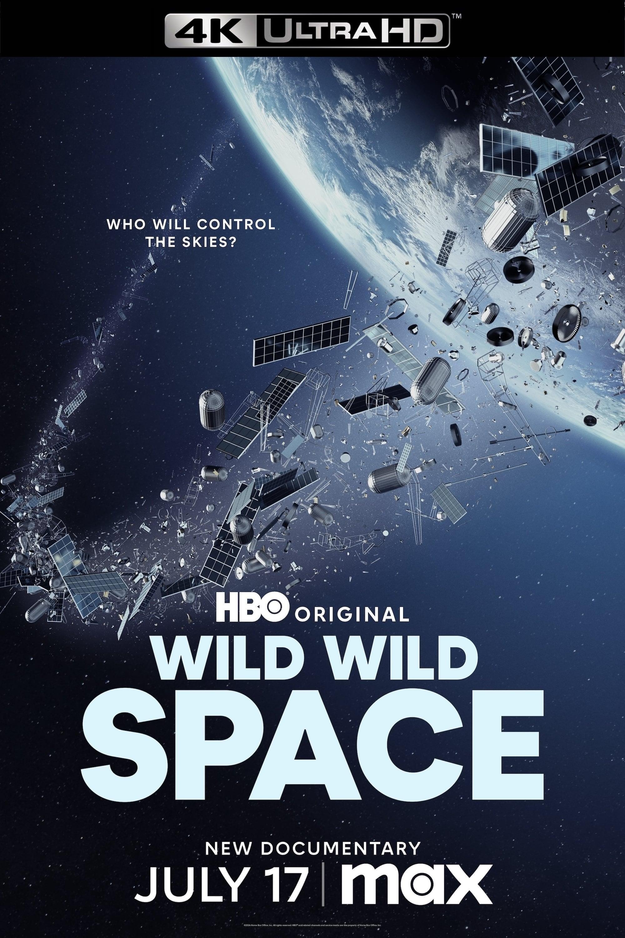 Wild Wild Space poster