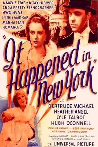 It Happened in New York poster
