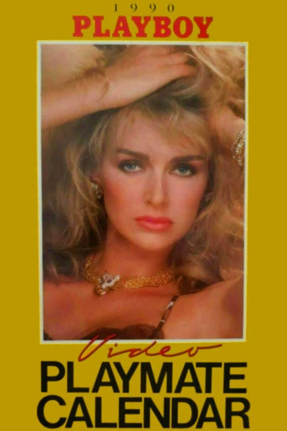 Playboy Video Playmate Calendar 1990 poster