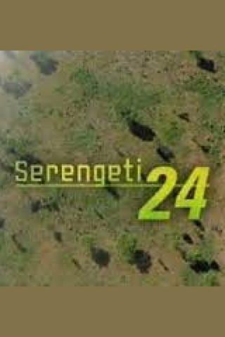 Serengeti 24 poster