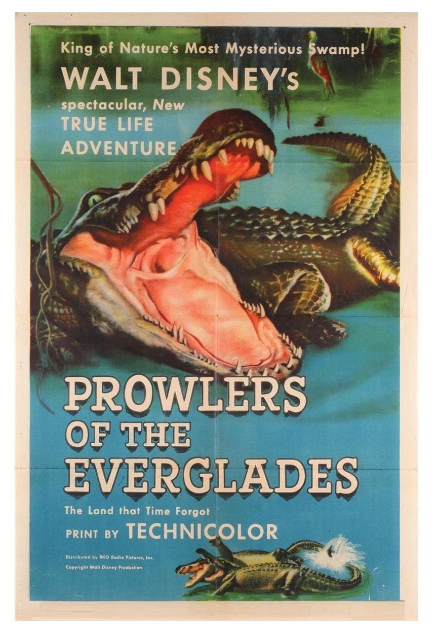 Prowlers of the Everglades poster