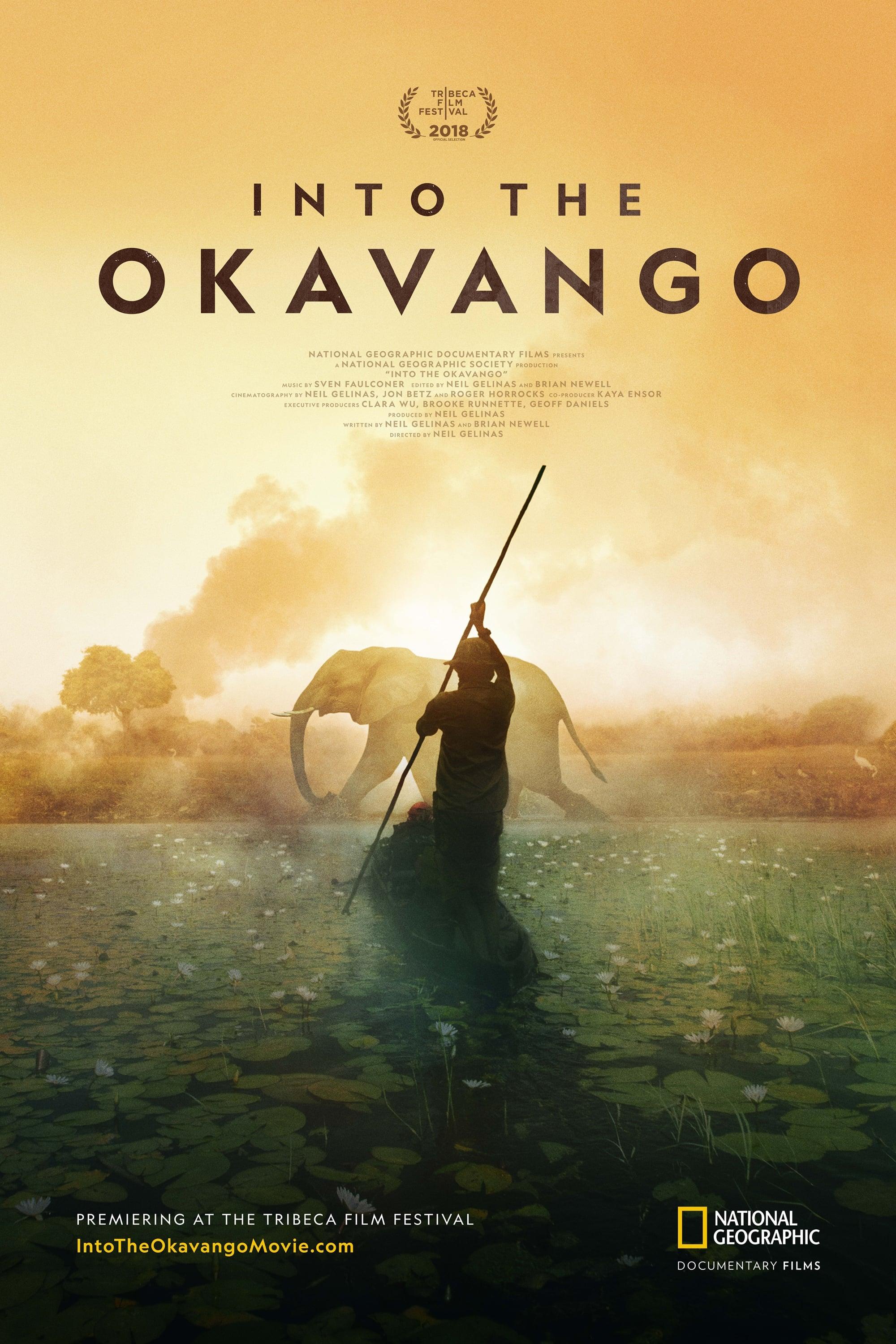 Into the Okavango poster