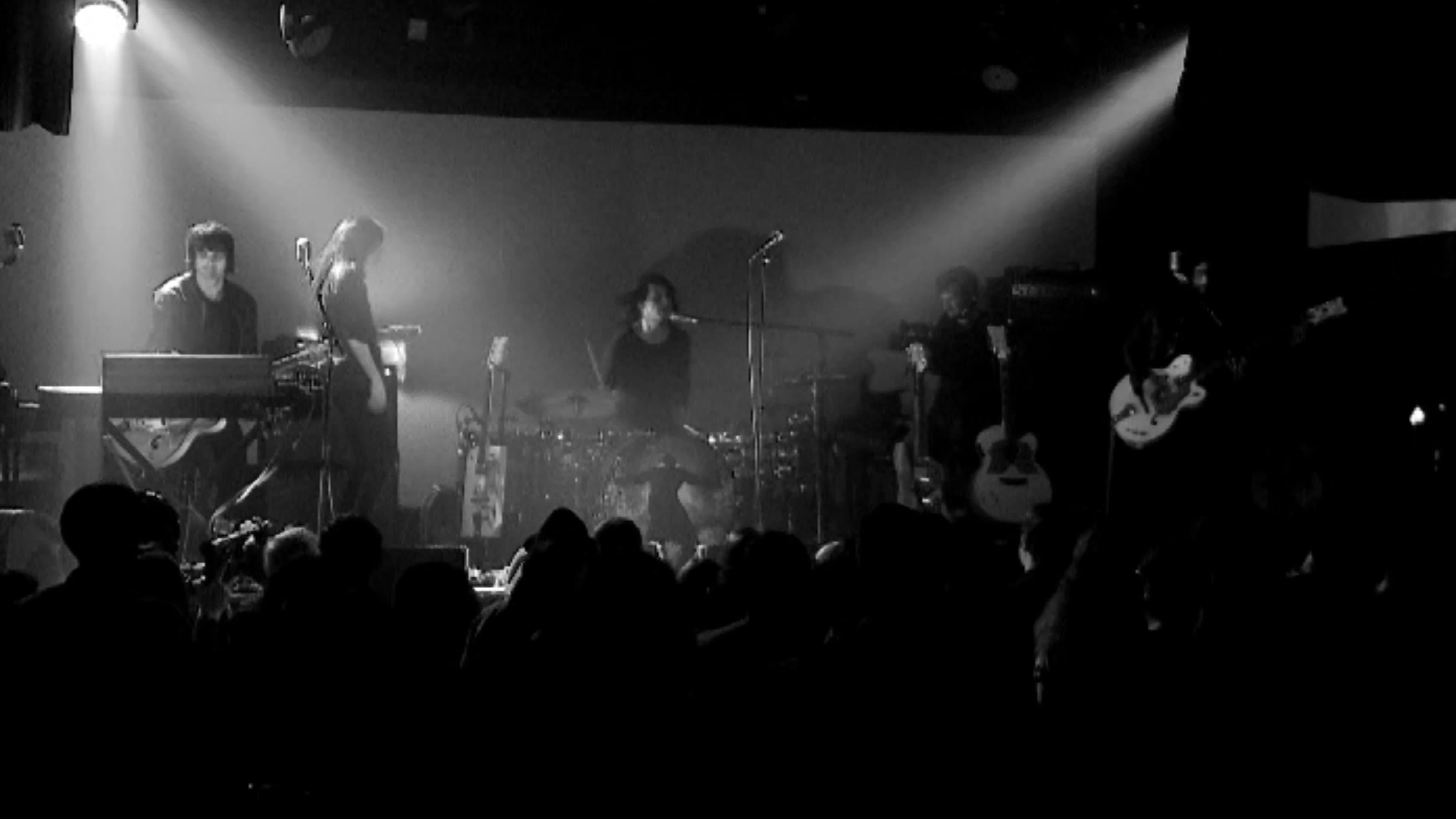 The Dead Weather: Sea Of Cowards - Live At Third Man Records backdrop