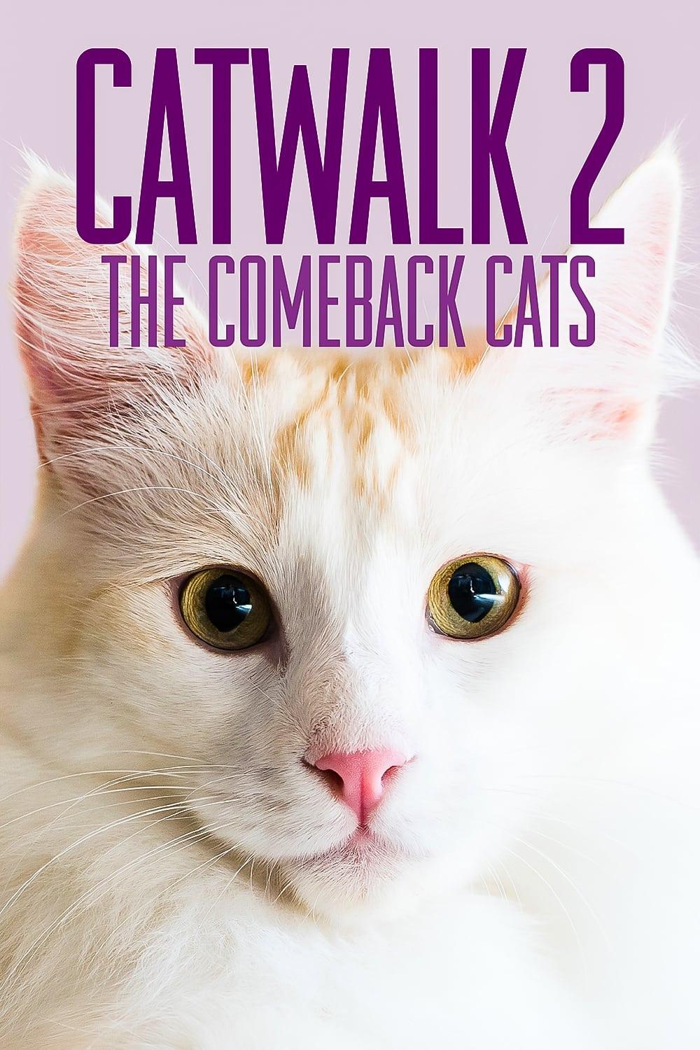 Catwalk 2: The Comeback Cats poster