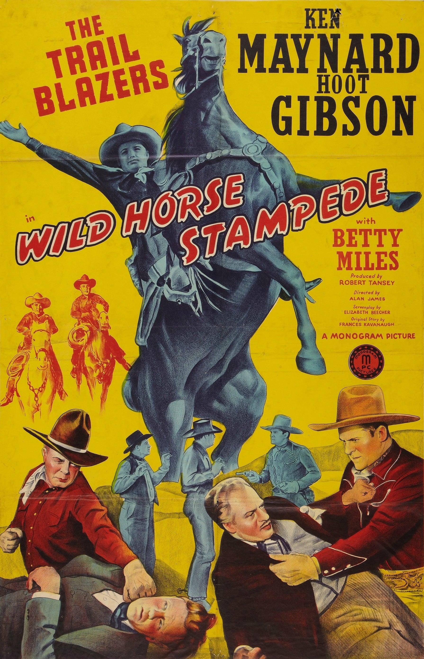 Wild Horse Stampede poster