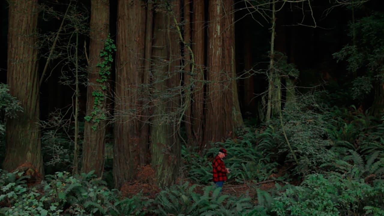 Behind the Redwood Curtain backdrop