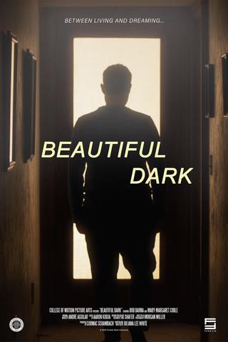 Beautiful Dark poster