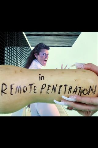 Remote Penetration / Stain of History poster