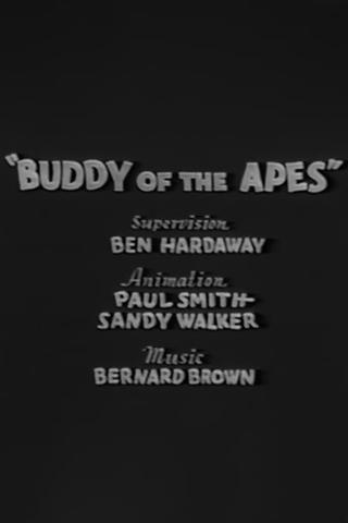 Buddy of the Apes poster