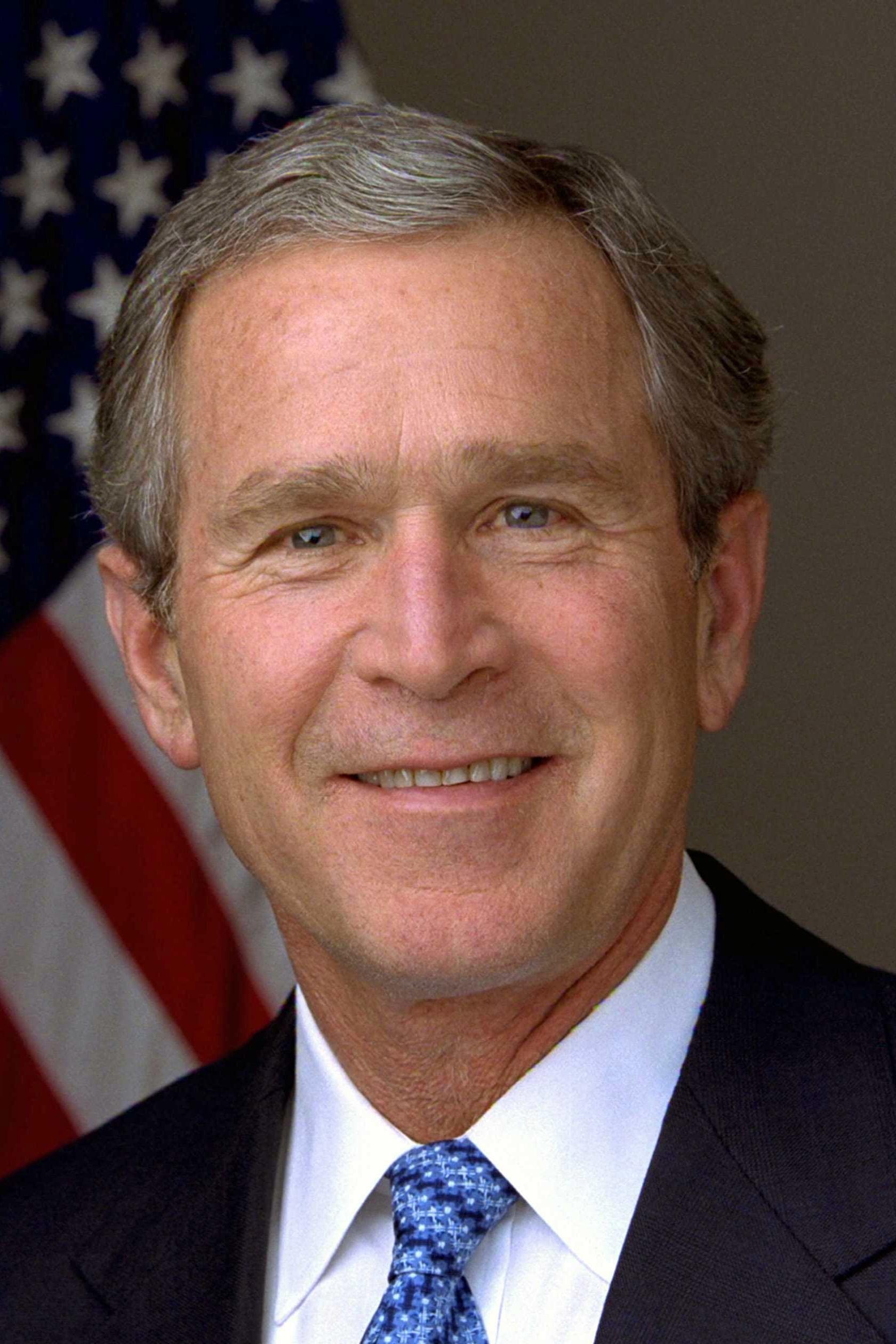 George W. Bush poster