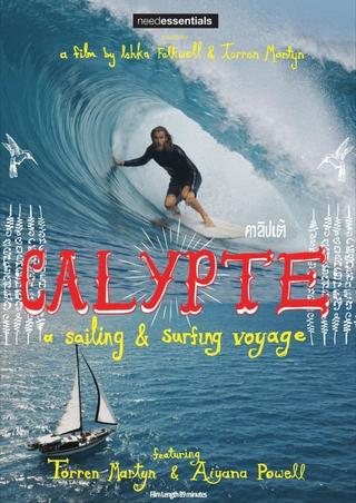 Calypte: A Sailing and Surfing Voyage poster