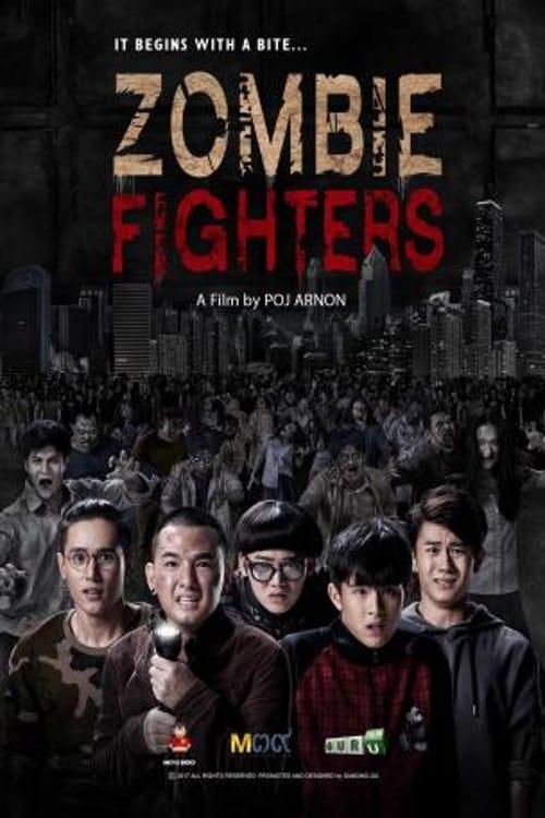Zombie Fighters poster