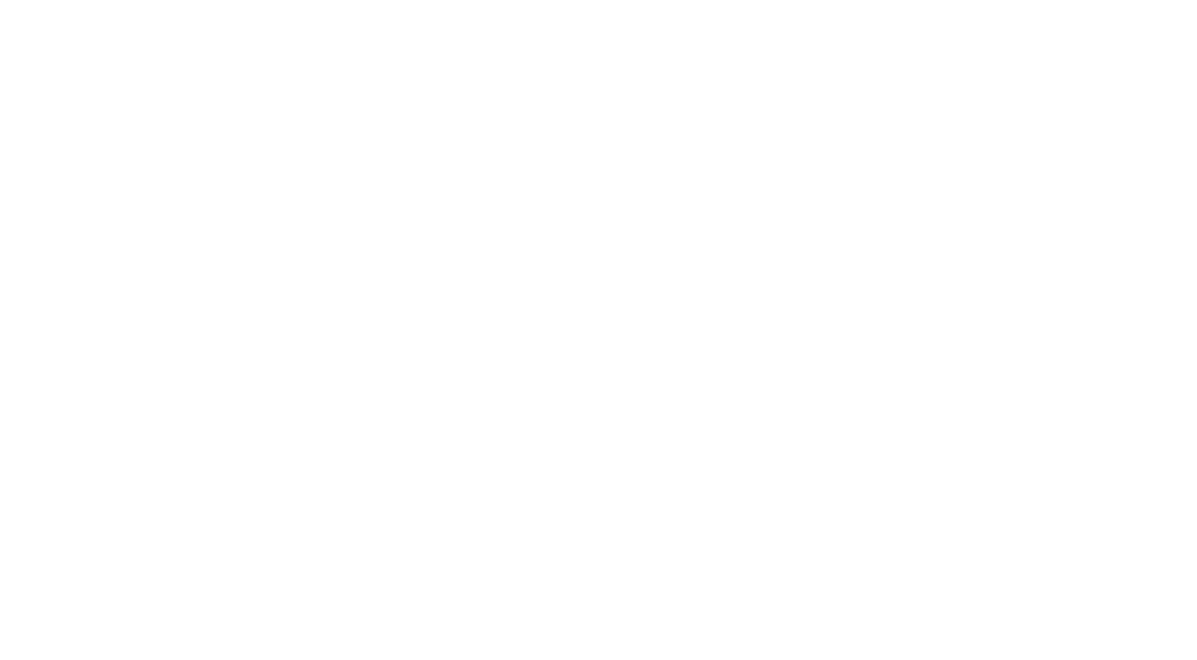 Donald's Nephews logo