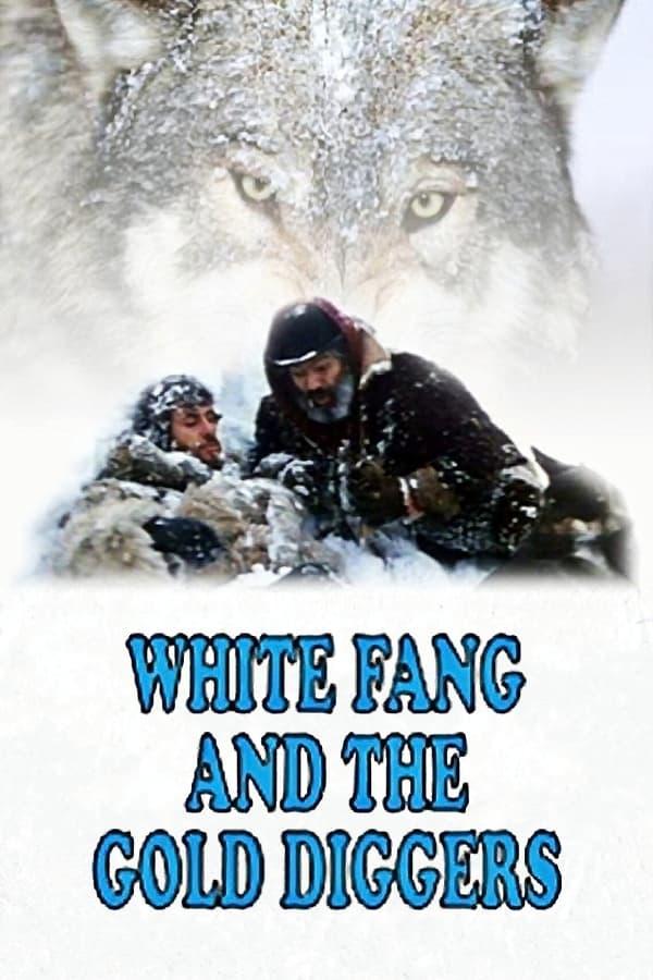 White Fang and the Gold Diggers poster