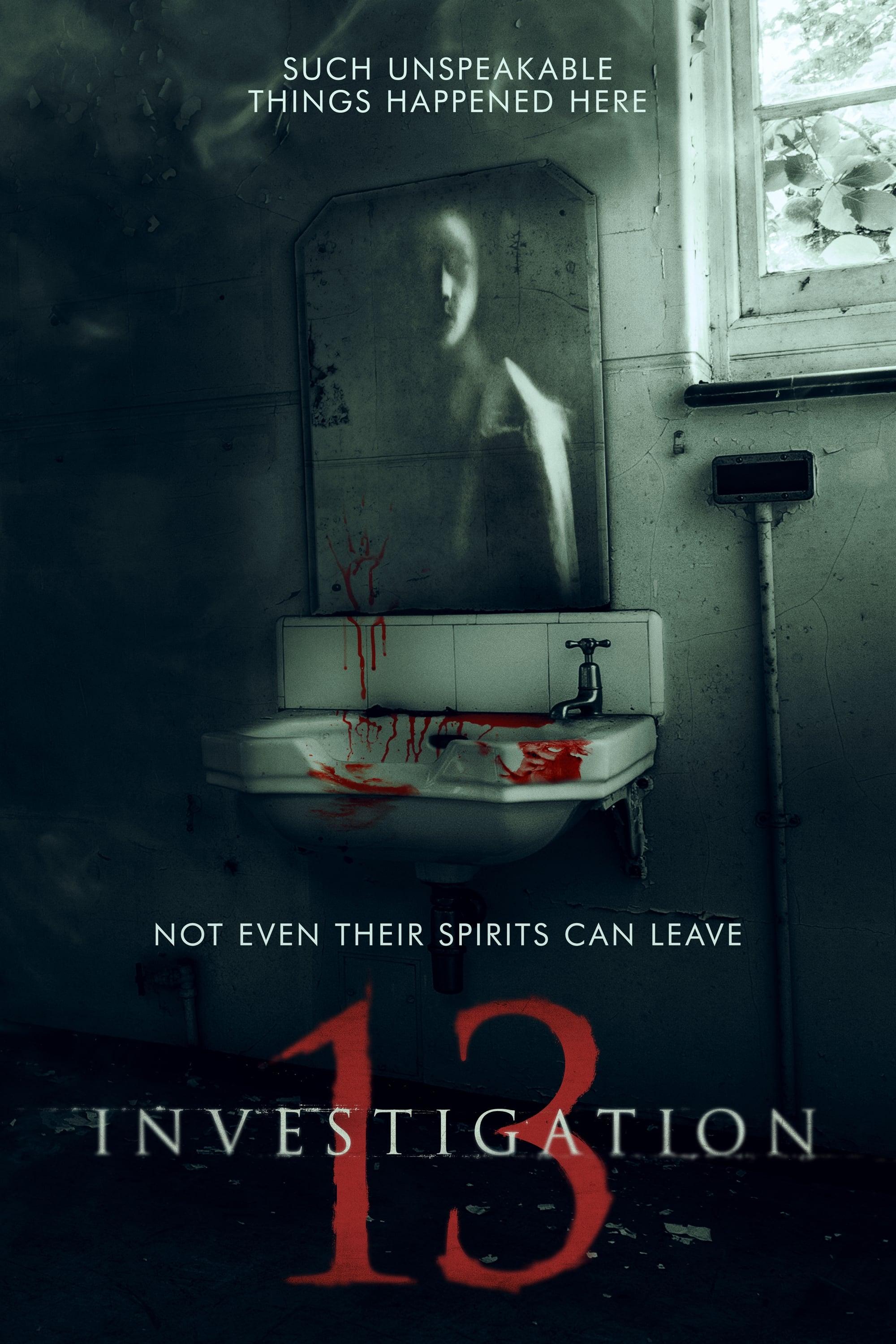 Investigation 13 poster