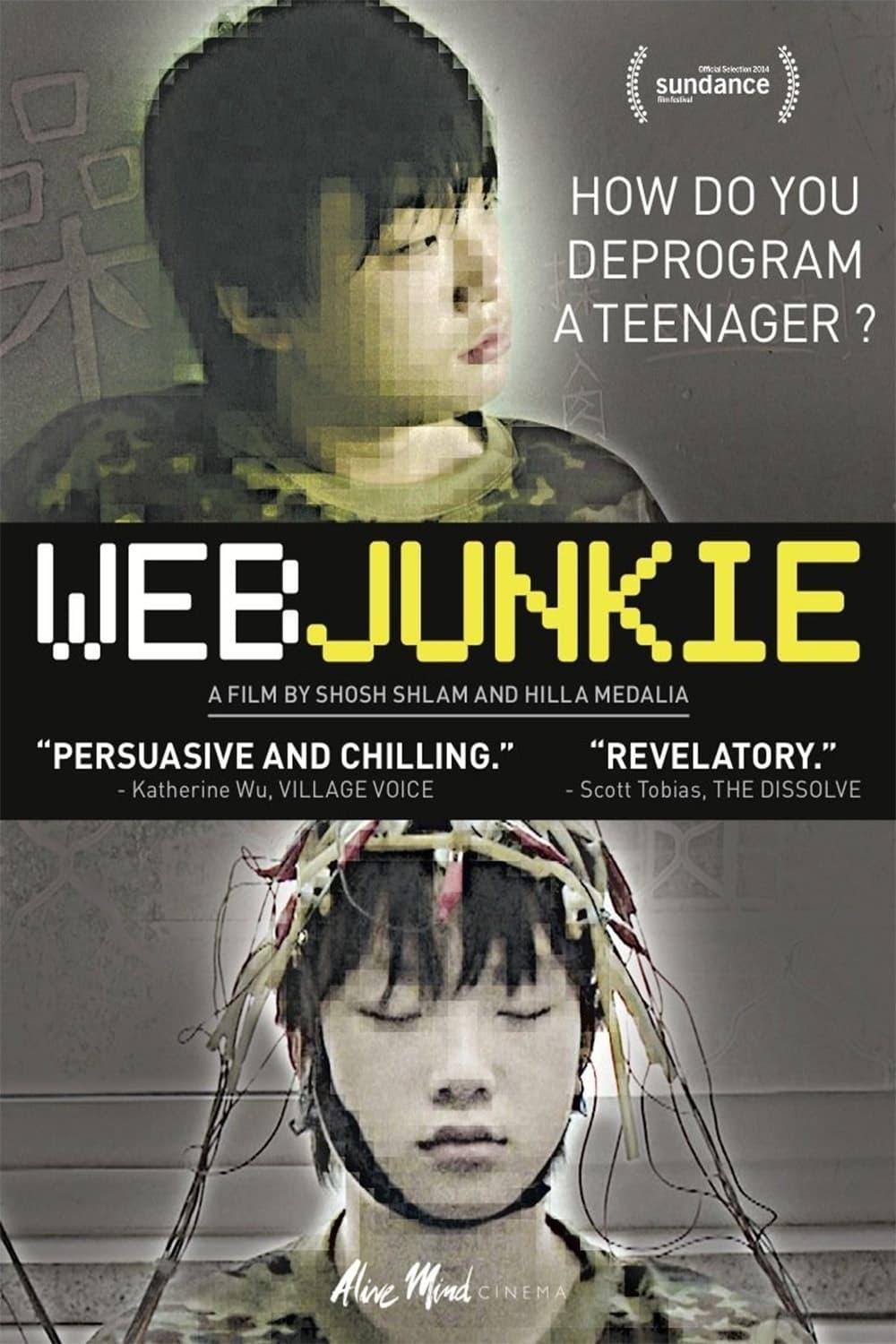 Web Junkie poster