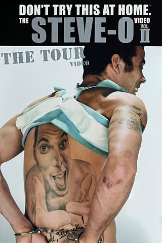 Don't Try This at Home – The Steve-O Video Vol. 2: The Tour poster