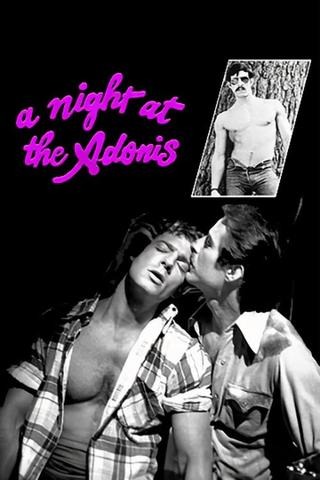 A Night at the Adonis poster