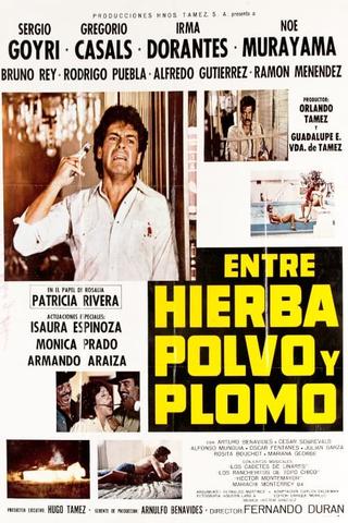 Entre Hierba, Polvo y Plomo poster