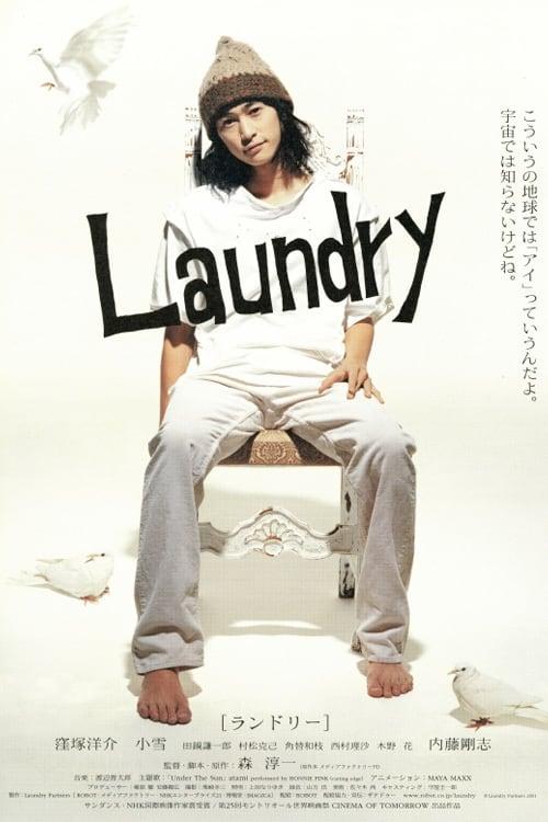 Laundry poster