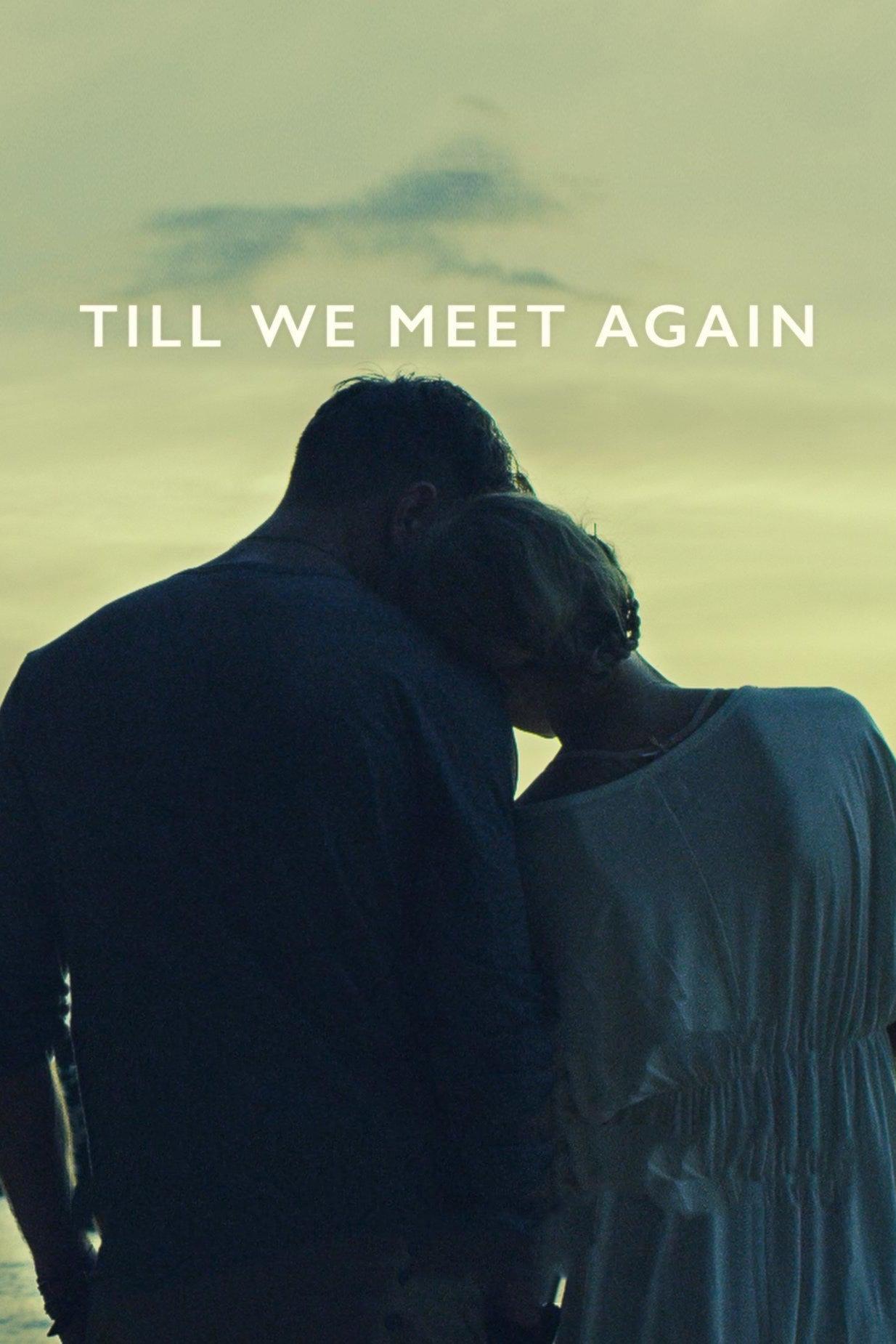 Till We Meet Again poster