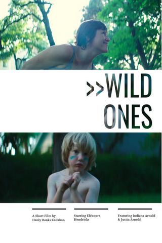 Wild Ones poster
