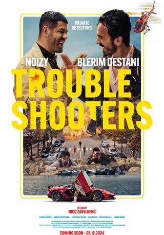 Troubleshooters poster