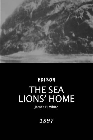 The Sea Lions' Home poster