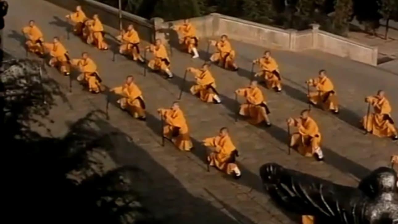 Shaolin Kung Fu backdrop