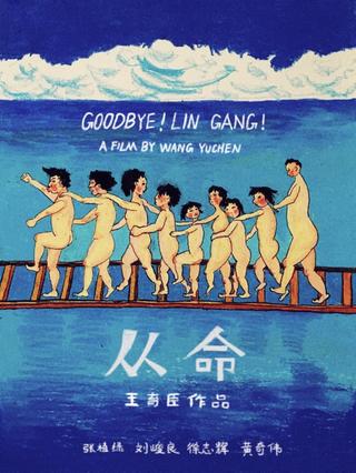 Goodbye! Lin Gang! poster
