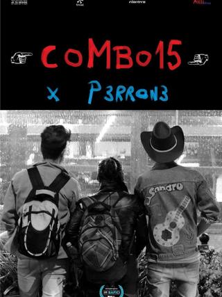 COMBO15 poster