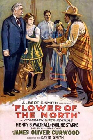 Flower of the North poster