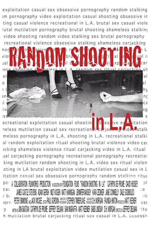 Random Shooting in LA poster