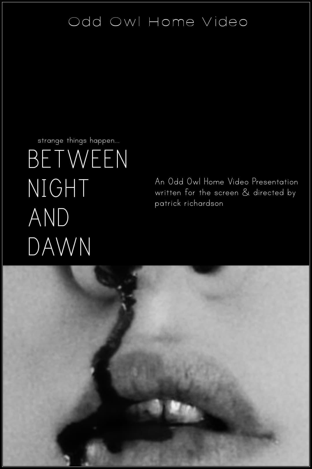 Between Night And Dawn poster