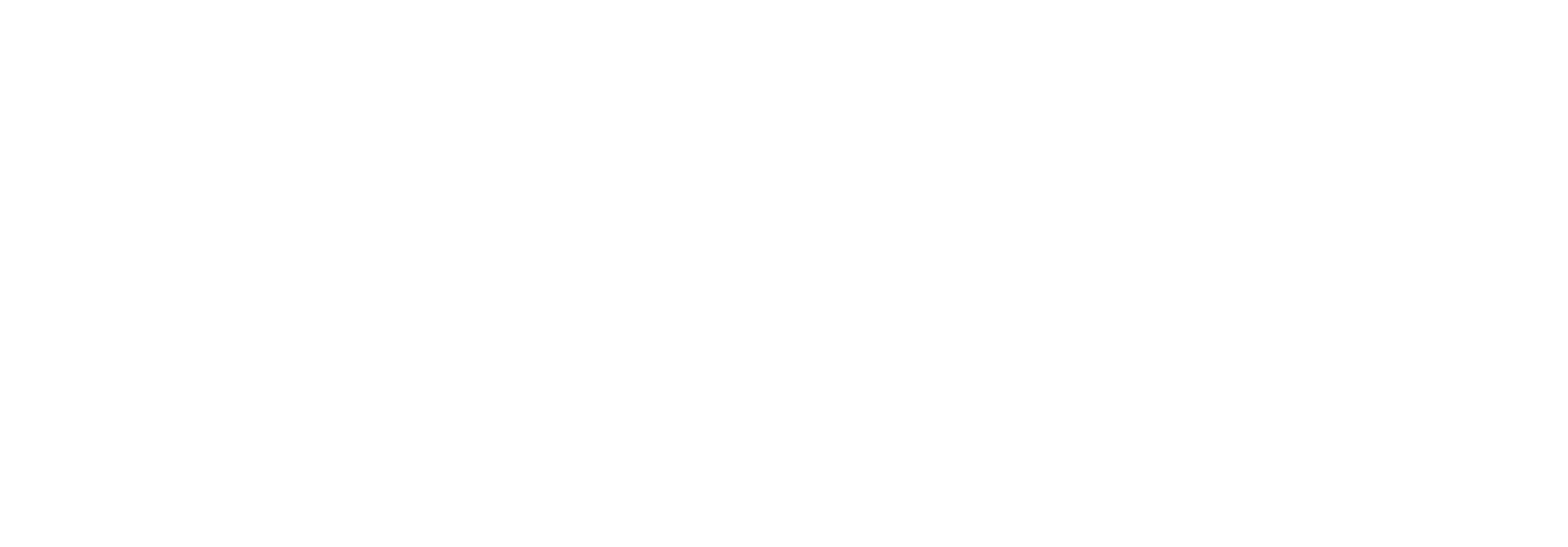 Fallen Idols: Nick and Aaron Carter logo