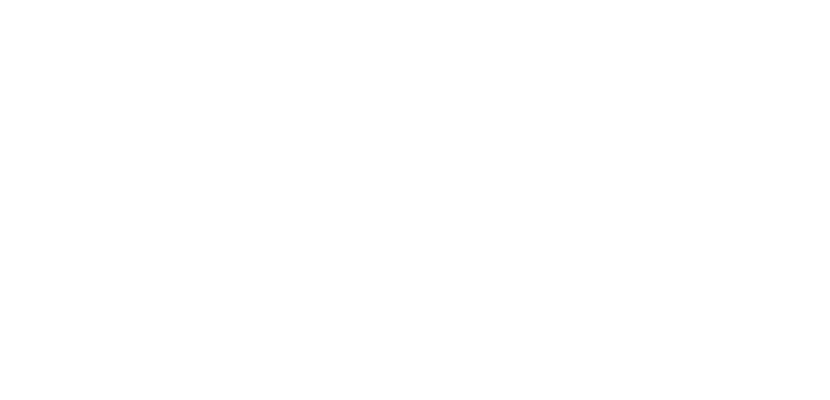 Journey into Amazing Caves logo