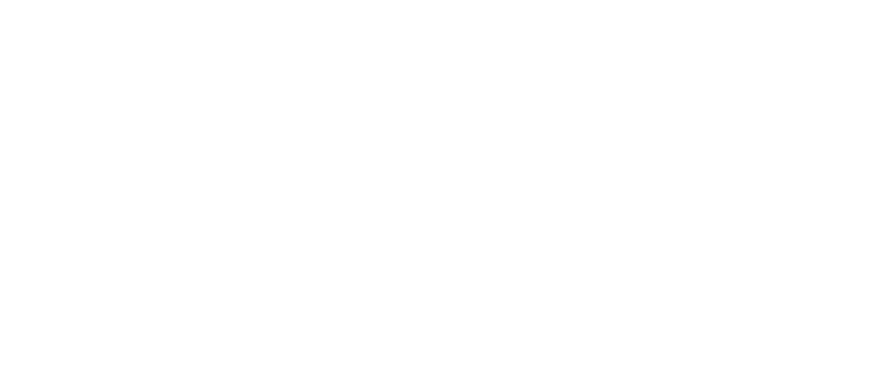 Captains logo