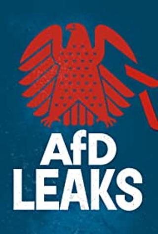 AfD Leaks: The Secret Chats of the Bundestag Parliamentary Group poster