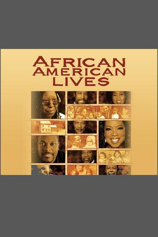African American Lives poster