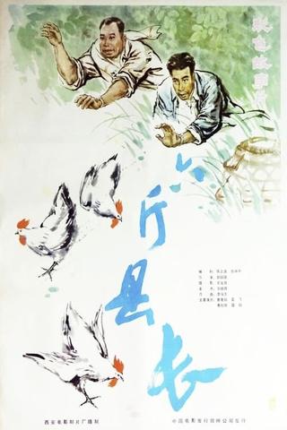 六斤县长 poster