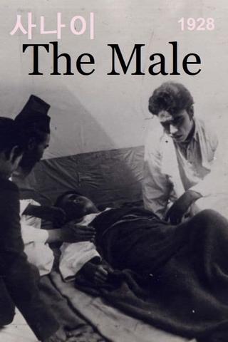 The Male poster