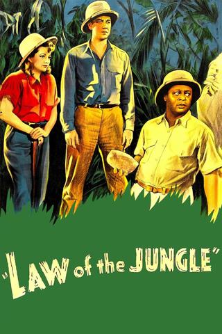 Law of the Jungle poster