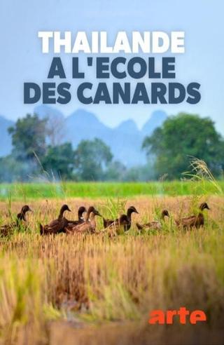 Thaïlande, à l'école des canards poster